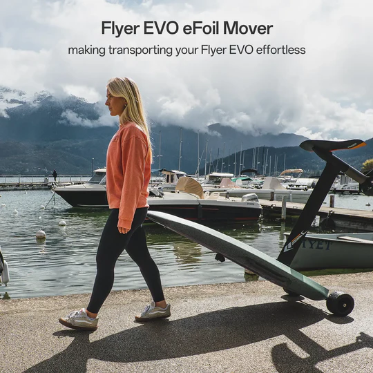 Waydoo Flyer EVO Lite Waydoo Flyer EVO Lite